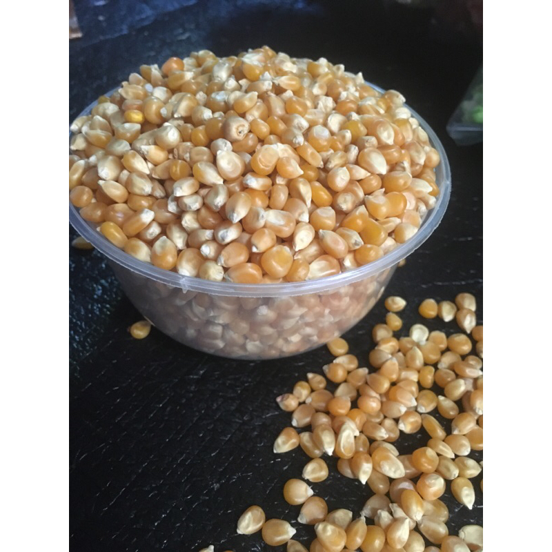 

Jagung POPCORN mentah khusus utk bikin popcorn kemasan repack 500g