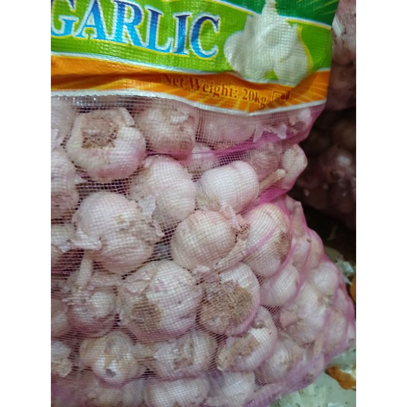 

bawang putih honam