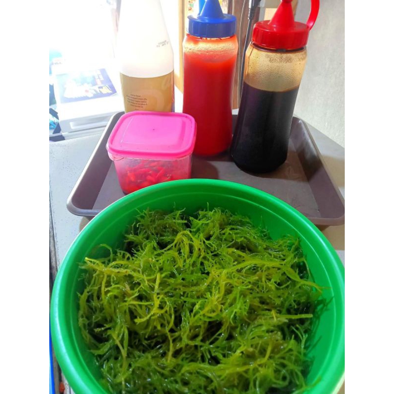 

baso daging sapi rumput laut baso daging rumput laut isi 8
