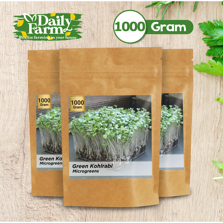 Benih Sayur Microgreen Green Kohlrabi Microgreen ( 1000 Gram )