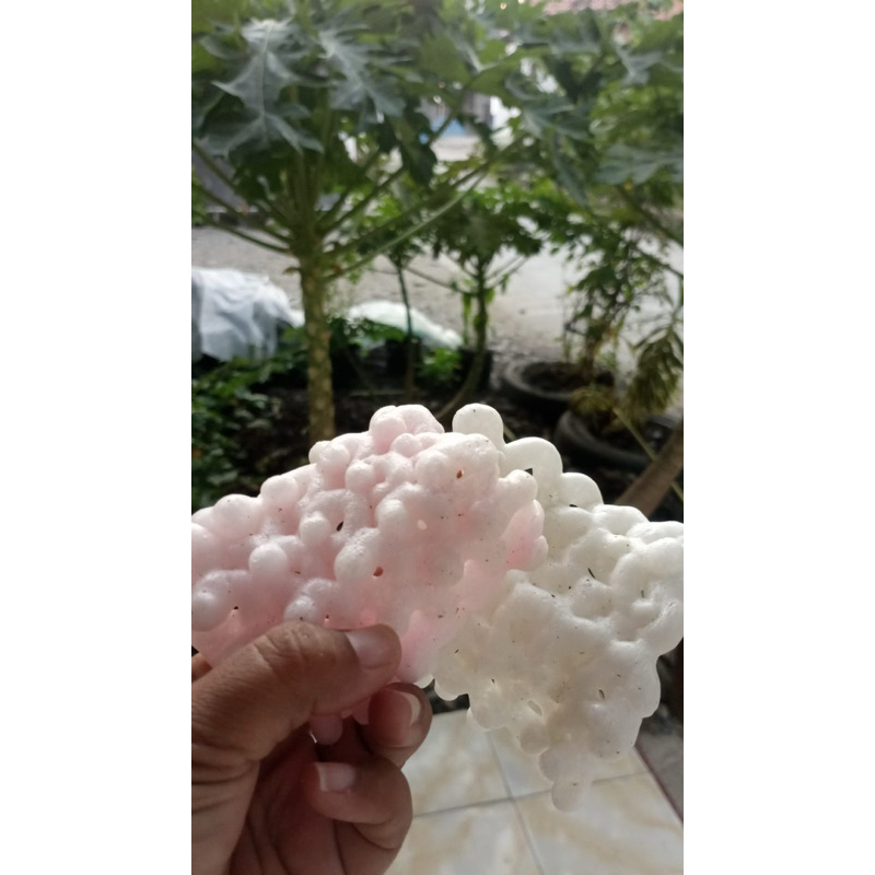 

kerupuk usek/kerupuk pasir khas pemalang gurih manis tampa pemanis buatan