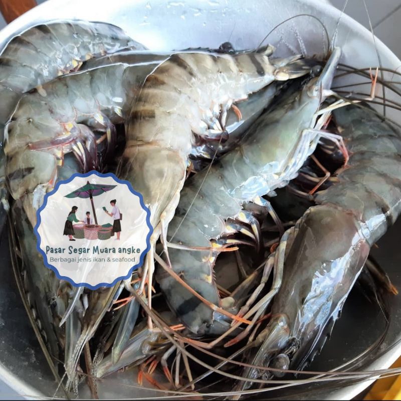 

Udang Vaname hasil laut segar 1 kg