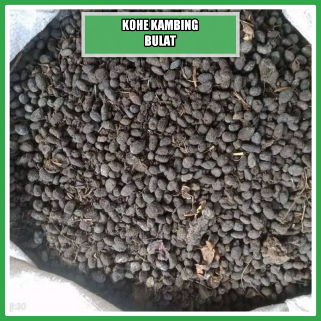 1 Karung Pupuk Kandang Kambing Bulat - Srintil Kambing - Pupuk Kandang Siap Pakai