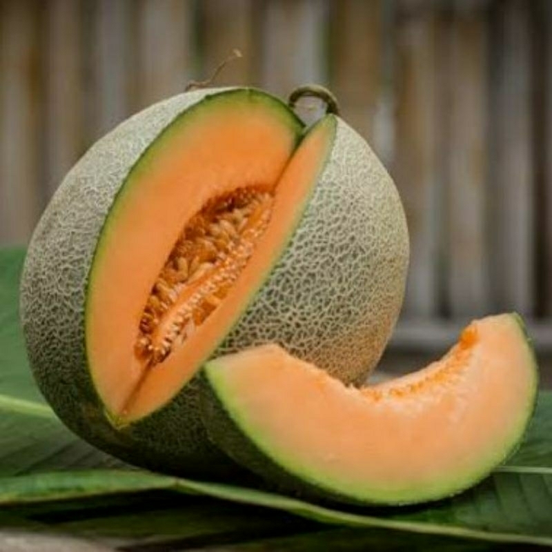 Benih Buah Rock Melon Orange Melon Cantaloupe Termurah