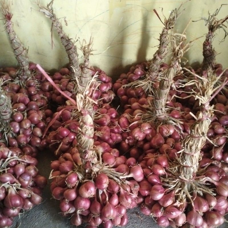 

BAWANG MERAH SUPER & KERING GOMBYOK'AN (di ikat dg daunnya)