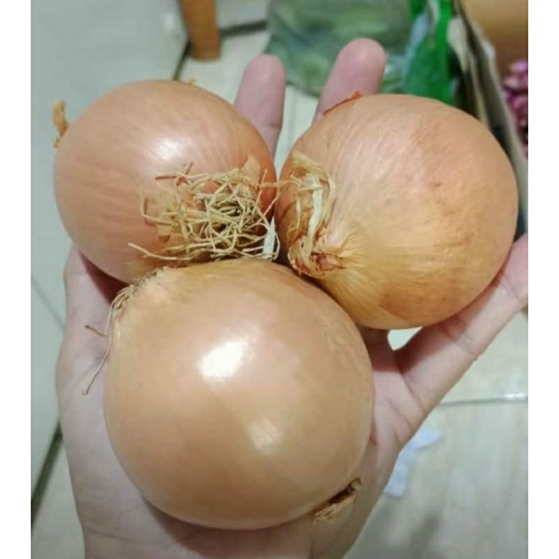 

bawang bombay