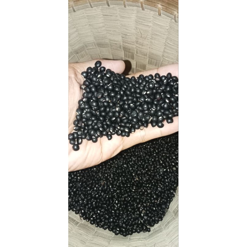 

Kacang Gude Hitam/Undis Kering 1Kg