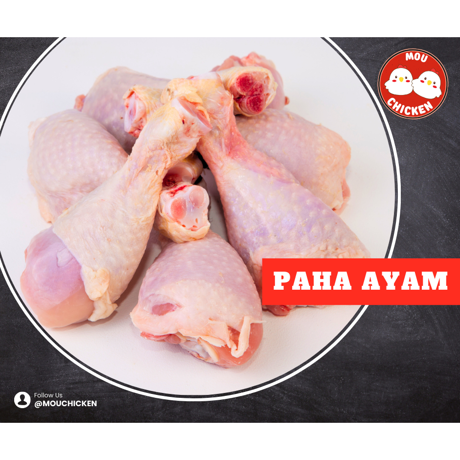 

Ayam Paha Bawah Pentul Fres & Frozen Bandung