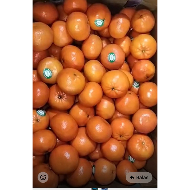

QUEEN BUAH:JERUK MANDARIN AFORER TANPA BIJI RASA ASAM MANIS SEGER FRESH HARGA 1kg