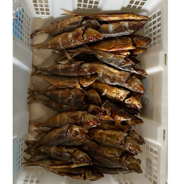 

IKAN ASAP KEMBUNG