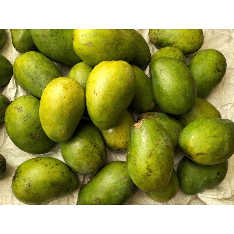 

Buah arumanis mengkel