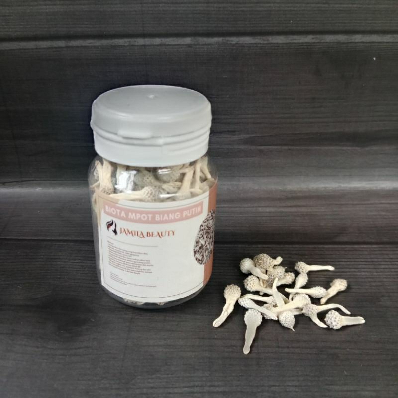 EMPOT AYAM PUTIH  BIANG ORIGINAL