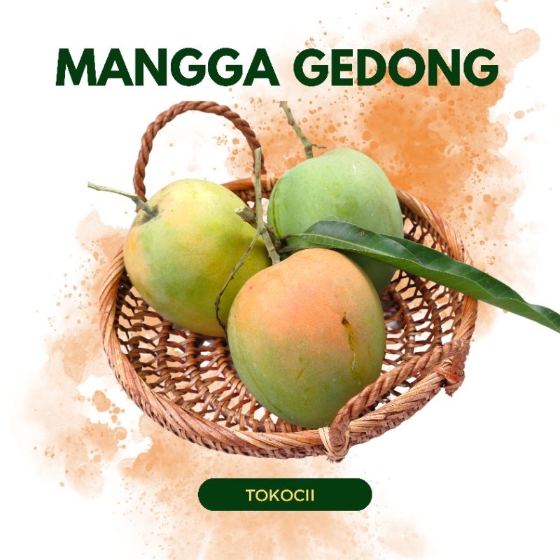 

Mangga gedong gincu asli indramayu