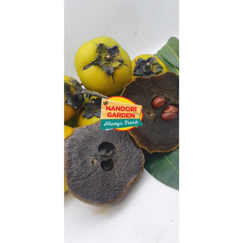 

NANDORI GARDEN EXOTIC BLACK SAPOTE 500G