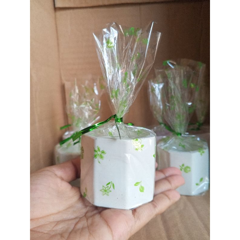 Souvenir Pot Kaktus Sukulen