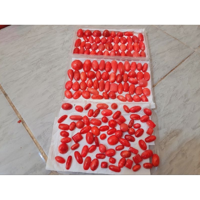 red coral batu marjan super