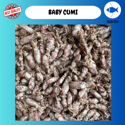 

IKAN ASIN CUMI BABY BULAT/ BABY CUMI 500 GRAM