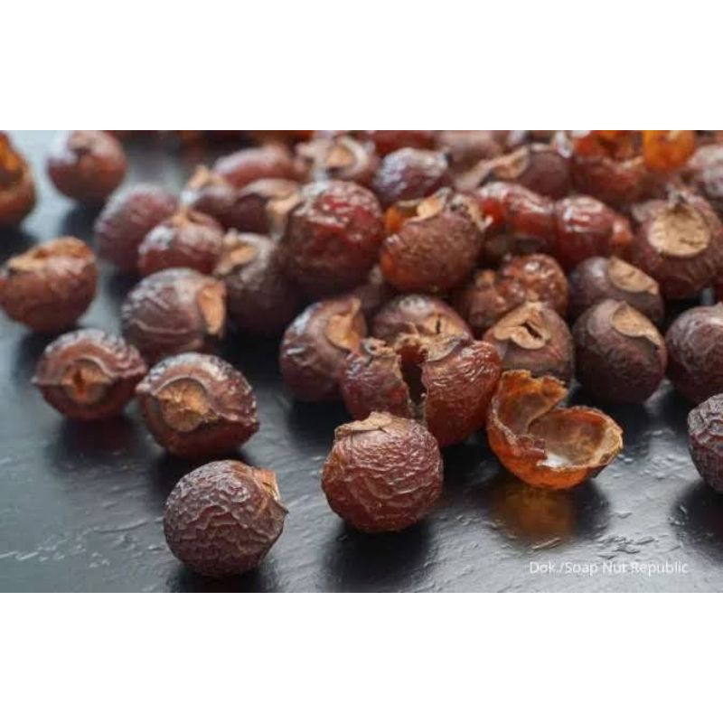 

Free Ongkir Lerak / Klerek kupas tanpa biji 1kg