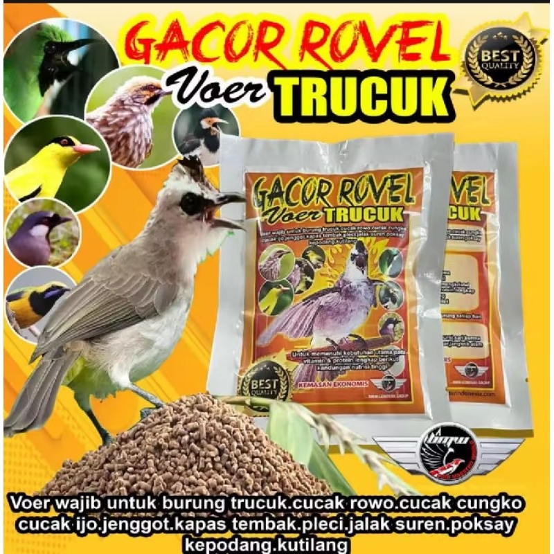 Voer Trucuk- Vitamin Burung Trucuk