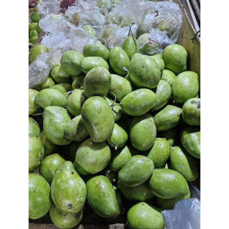 

MANGGA MENGKAL 1 KG (JENIS MANGGA TERGANTUNG STOK YG TERSEDIA)