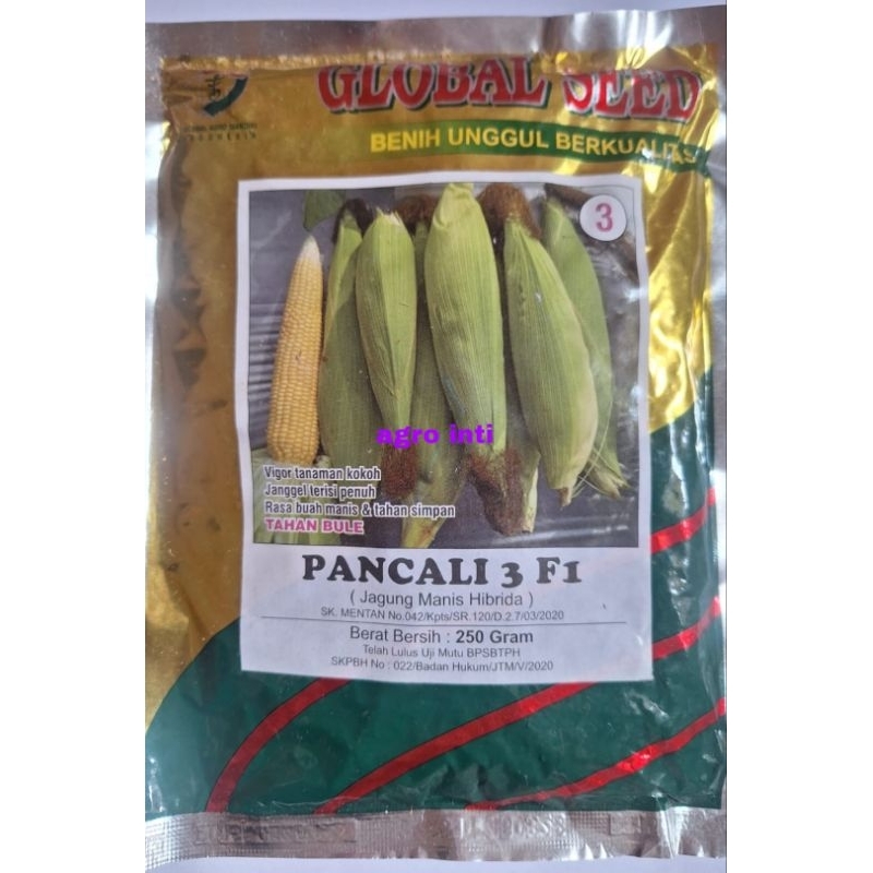 Benih jagung manis PANCALI 3 F1 isi 250 gram tahan BULE dari  GLOBAL SEED