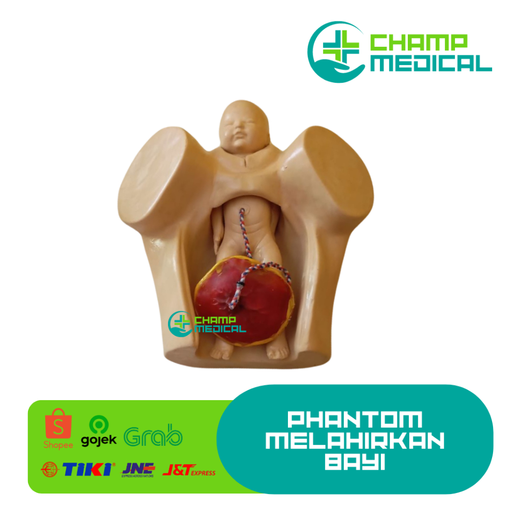Phantom Manikin Panggul Melahirkan Bayi / Phantom Persalinan / Alat Peraga Persalinan