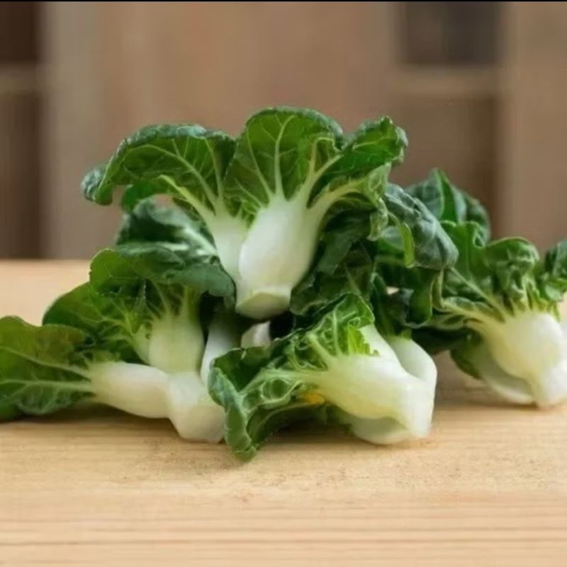 Biji Pokcoy Nai Bai Impor