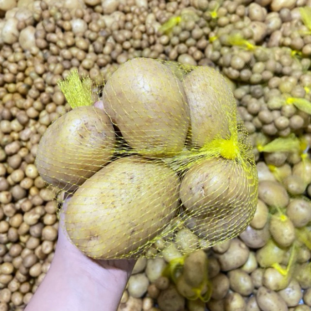 

KENTANG BASIC 500gr