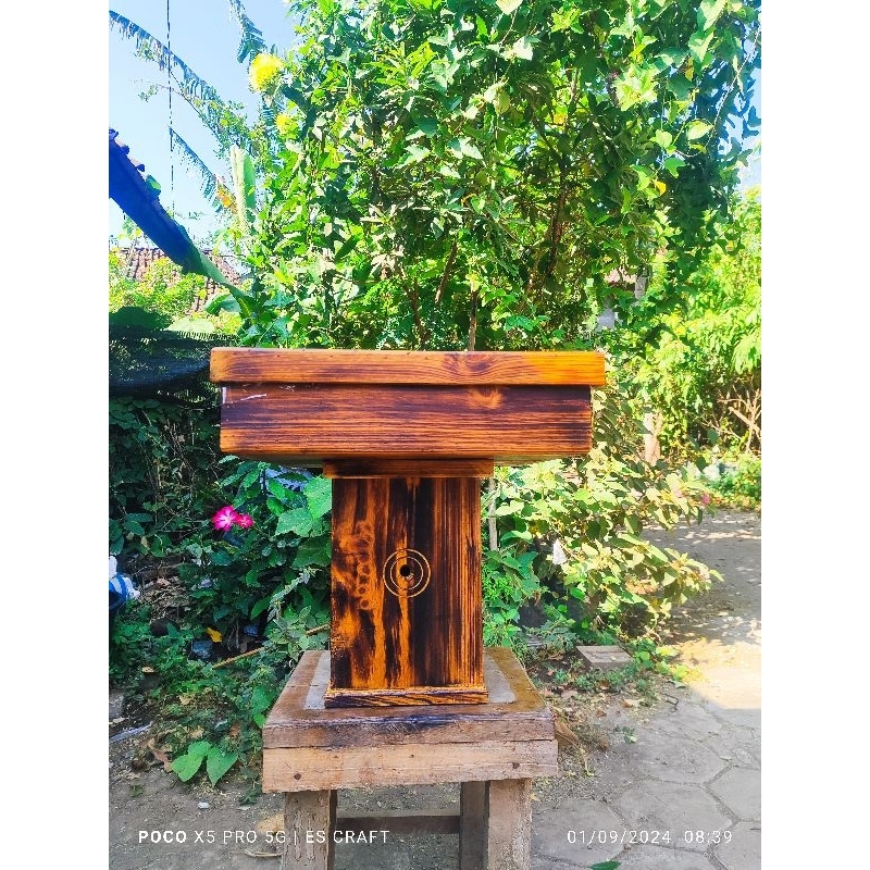 Stup Toping Thoracica/Incisa