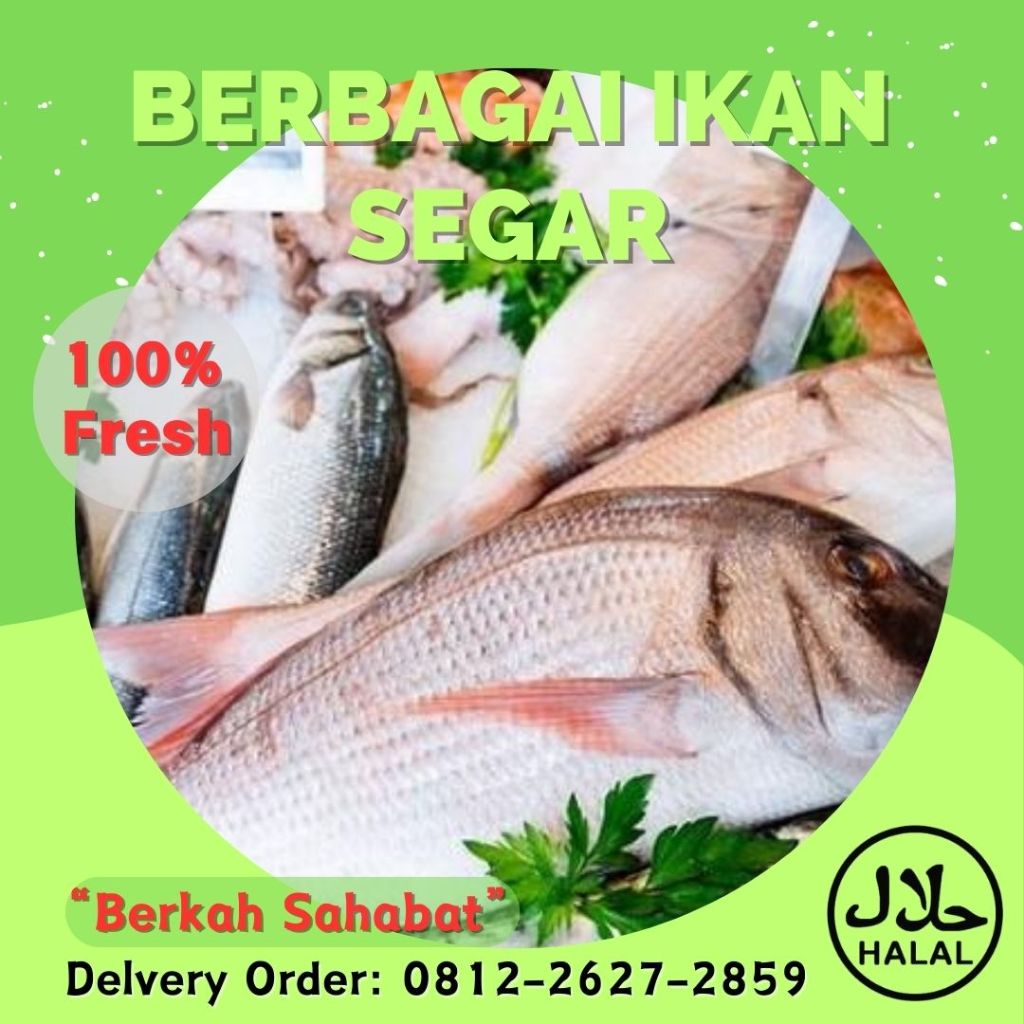 

IKAN SEGAR TENGIRI CUMI UDANG NILA LELE KALPER MAS BELUT ASAP