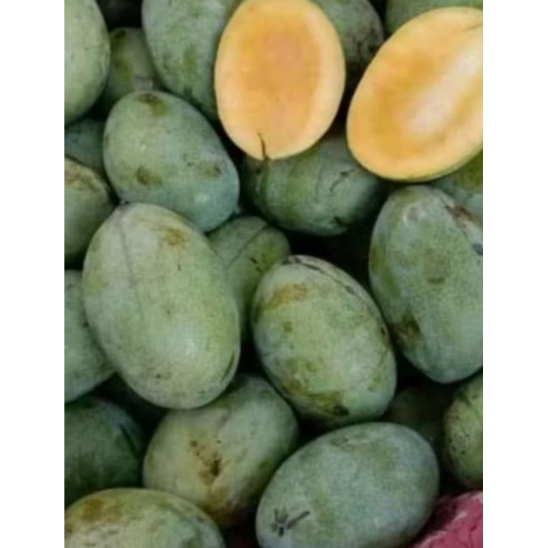 

MANGGA MADU / BUAH MANGGA MANALAGI 1 KG