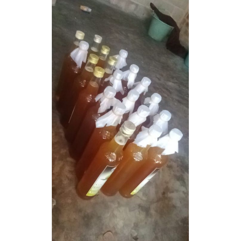 

madu hutan asli