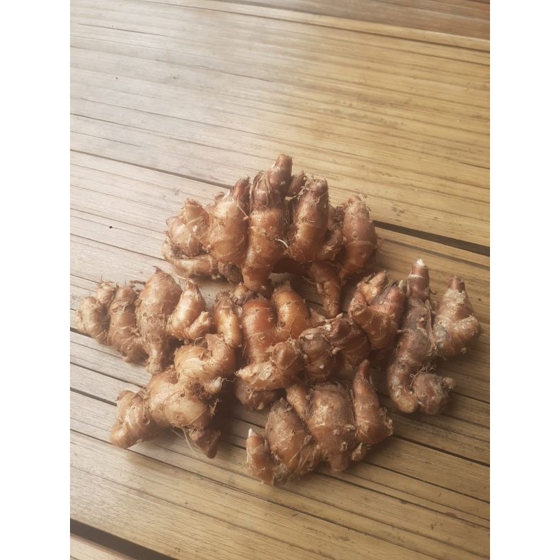 

kencur baduy 1kg asli baduy..masih fresh