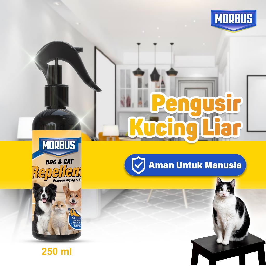 Morbus Cairan Pengusir Kucing Liar Berak dan Pipis Sembarangan