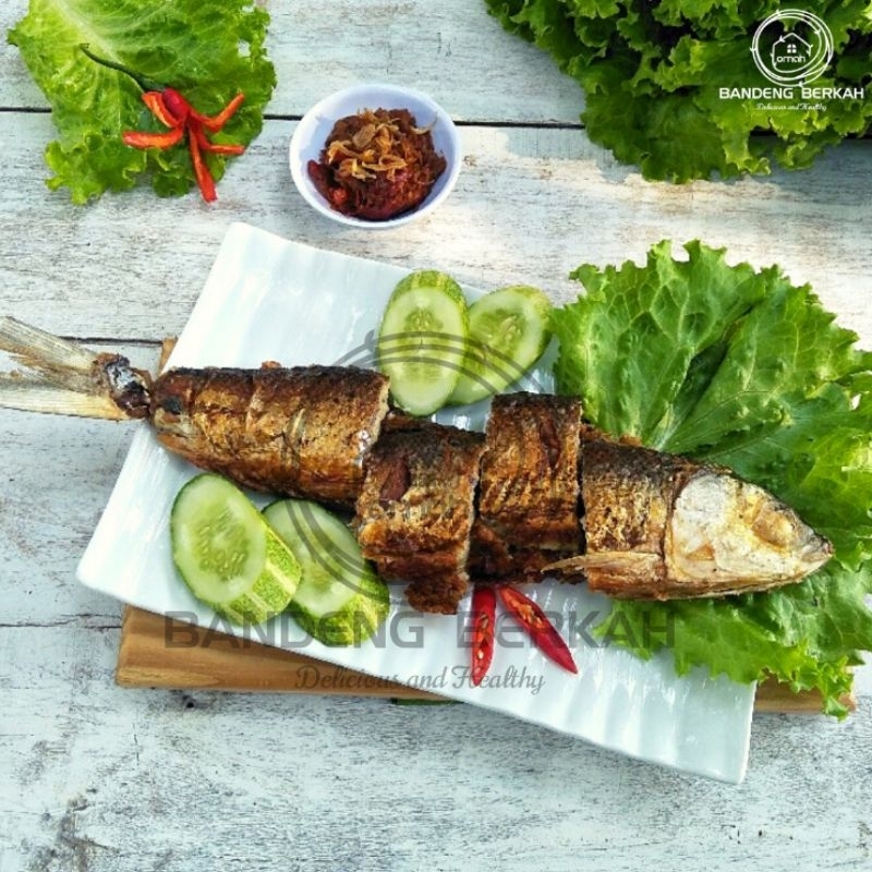 

Otak-otak Bandeng Vacum Asli Juwana - Termurah - Terenak