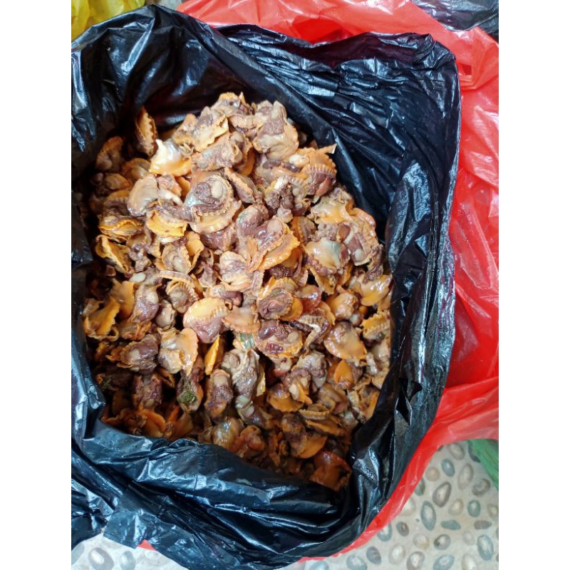 

kerang daging