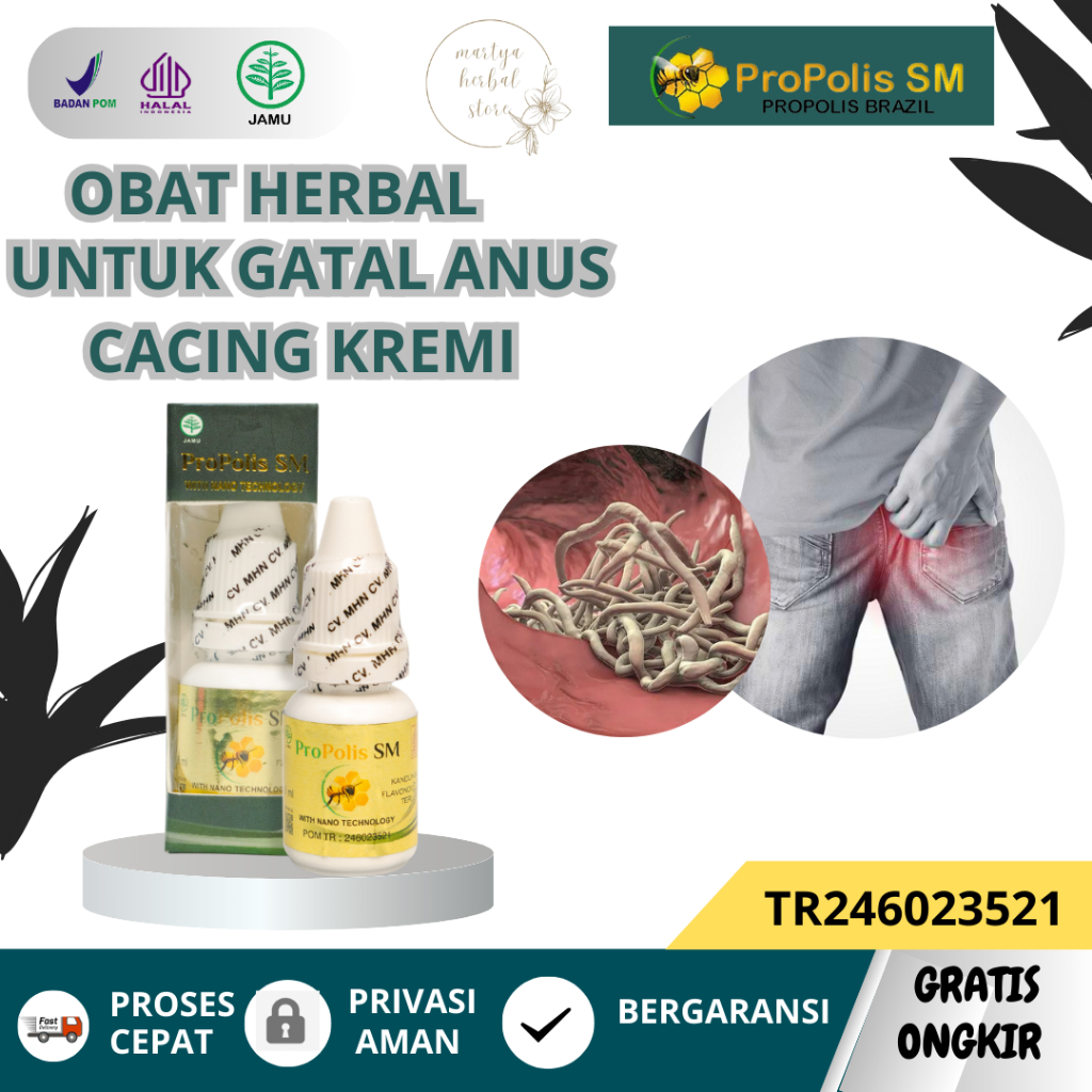 Obat Herbal Cacing Kremi Pada Anak Dan Dewasa  Obat Gatal Anus Obat Penghilang Gatal Anus Obat Infek