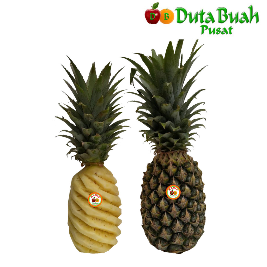 

DUTA BUAH NANAS PALEMBANG JUMBO (1 kg - 1,5 /PCS)