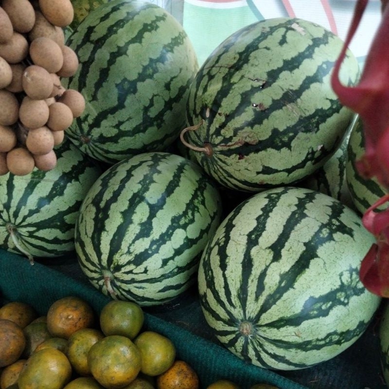 

semangka biji merah 5,5 - 6, 5kg