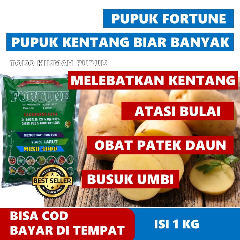Pupuk Kalsium Buah Kentang Mencegah Rontok dan Layu Pupuk Fortune Mempercepat Pertumbuhan Kentang Ce