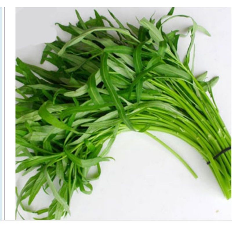 

KANGKUNGSEGAR/KANGKUNGMURAH/KANGKUNGAKAR/KANGKUNGAIR