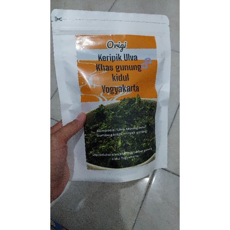 Keripik Rumput Laut Ulva lactuca oleh-oleh khas Yogya