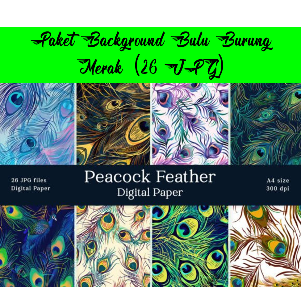 Paket Background Bulu Burung Merak (26 JPG)