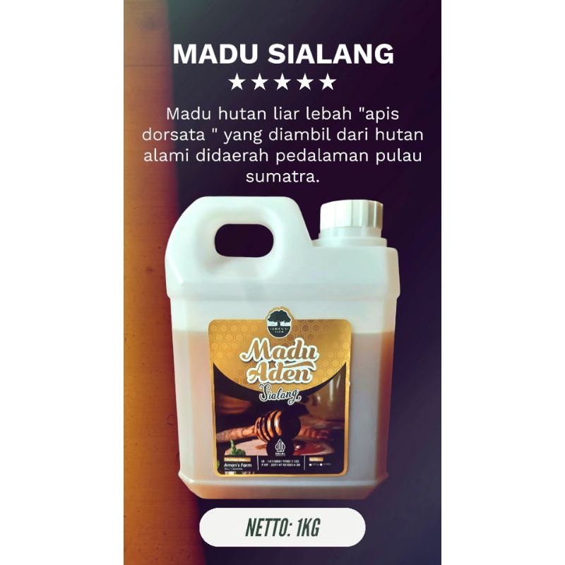 

Madu Hutan Sialang Murni Madu Hutan Liar Madu Hutan Sumatra Madu Murni Apis Dorsata Madu 1kg