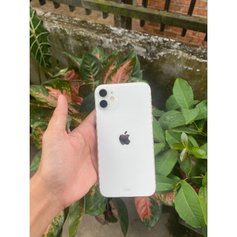 iPhone 11 64 GB ibox