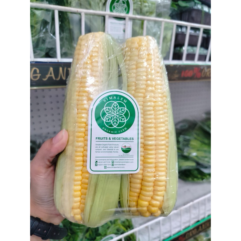 

Jagung Manis 100% ORGANIK