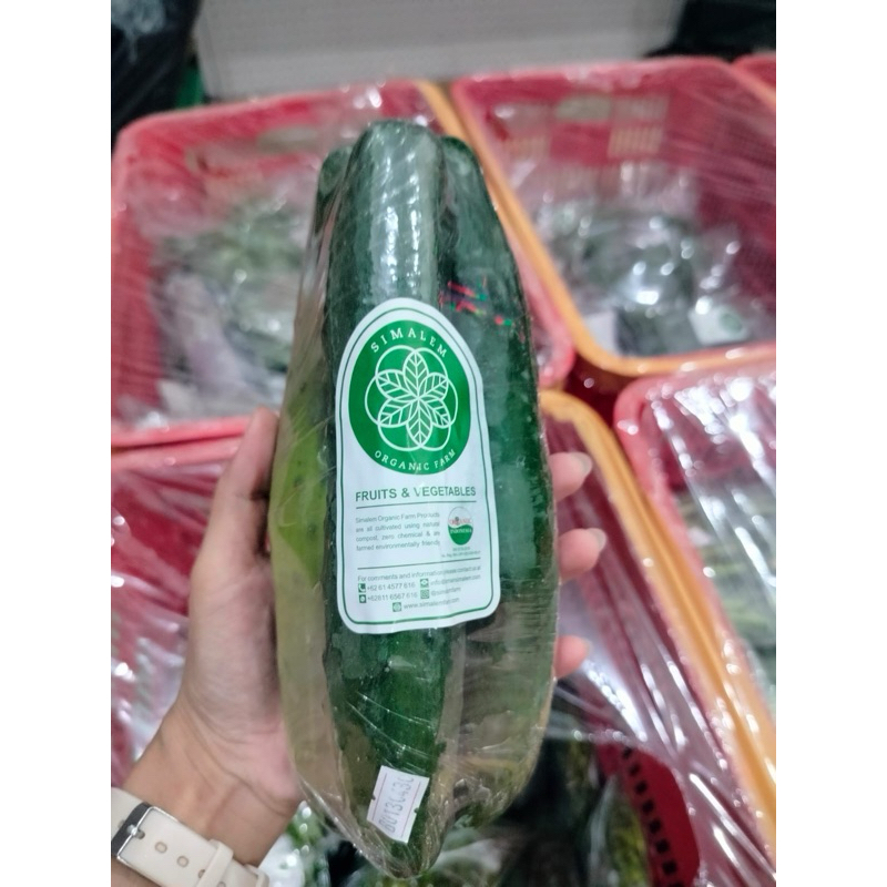 

TIMUN JEPANG SEGAR ORGANIK