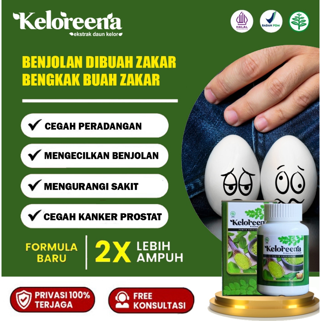 Obat Benjolan Di Buah Zakar, Buah Zakar Bengkak, Obat Benjolan Di Kantung Buah Zakar,   Obat Penghil