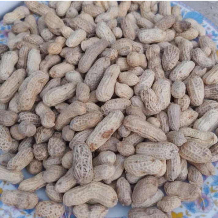 

KACANG KULIT SANGRAI 1 KG