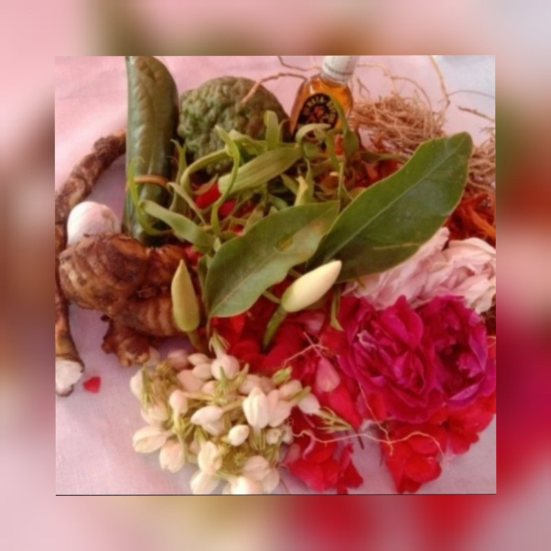 kembang macan kera komplit